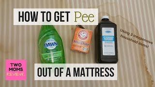 How to get PEE out of a MATTRESS! ⚡ Amazing