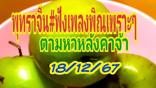 พุทราจีน#ฟังเสียงพิณเพราะๆ18/12/67#Withithrrm family 2 กำลังถ่ายทอดสด!