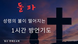 일산 연예인교회 라이브 스트리밍 중. (화-금 오후3시-4시) 마지막때 신부들의 1시간 방언기도모임에 함께 기도하실 예수님의 신부들을 초대합니다♥︎2024. 01.02