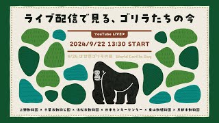 ライブ配信で見る、ゴリラたちの今（アーカイブ版）