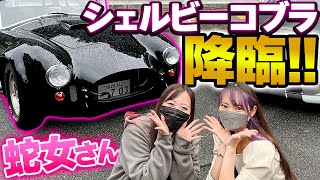 【蛇女コラボ】本当に初対面？！愛車紹介で車好き女子２人の暴走が止まらないwww 【シェルビーコブラ】