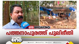 'ജനങ്ങൾ ഭയന്ന് കഴിയുകയാണ്'; പത്തനാപുരത്ത് പുലിഭീതി, വന്യമൃഗത്തിന്റെ ആക്രമണത്തിൽ പശു ചത്തു