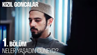 Levent'in Cüneyd ile İlk Seansı - Kızıl Goncalar 1. Bölüm @KizilGoncalarDizisi