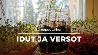 Somepuutarhuri: Versot ja idut