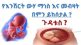 የእንሽርት ውሃ ማነስ እና መብዛት የሚከሰትባቸው ምክንያቶች እና ጉዳቶቹ | Causes of low and high aminoitic fluid