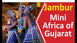 Mini Africa of Gujarat : |Jambur village|Africa|India|Village Life|Culture|