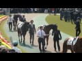 2013.5.26 jra東京 　g1　日本ダービー　パドック【現地】