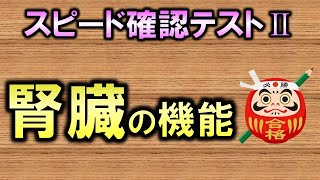 【聞き流し・スピード確認テストⅡ・67】腎臓の機能（解剖生理学・泌尿器系）