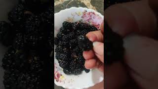 BlackBerry /ব্লাকবেরী