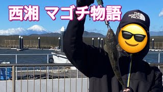 西湘マゴチ！ハウルで釣れたー！