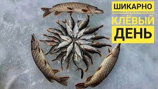 РЫБАЛКА 23 Февраля. Такого КЛЁВА мы не ждали. В ГЛУХОЗИМЬЕ Рыба то же ЛОВИТСЯ. РЫБАЛКА на ТАМБОВЩИНЕ