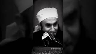 Emotional clip Maulana Tariq Jameel #viral #shortvideo #molanatariqjameel