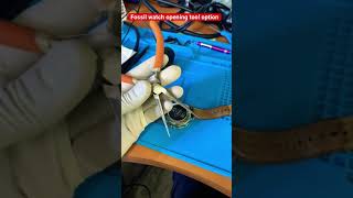Fossil Watch Opening Tool