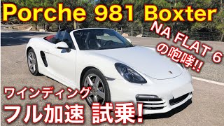 ポルシェ 981 ボクスターに峠で全開試乗! トンネルでのNAフラット6のフル加速エンジンサウンドが最高すぎた! Porche 981 Boxter test drive,exhaust sound!