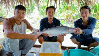 Canh chua bần  Cá Bông Lau  đặc sản sông nước miền tây | Gấc Quê