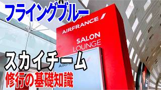 【スカイチーム】フライングブルー修行のためのポイント、ルート解説　スカイチーム修行はどうすればいいのか　ステータスマッチで上級会員になった人へ