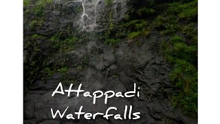 #attappadi waterfalls🔥#shorts#attappadi churam