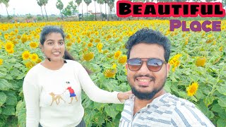 Must visit place in tenkasi | Tamil Nadu | Sundarapandiapuram  #tenkasi #sunflower #garden