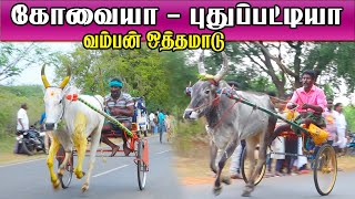 ஒத்தமாடு  வம்பன் புதுக்கோட்டை(மா)||22/03/2022|| othamadu vampan KSK rekla race krish