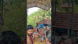 Major Set Panchavadyam led by Kongad Madhu \u0026 Cherpulassery Sivan @ Varavooe Pilakkad Ramankulanngara