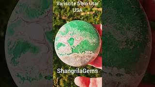 66mm 264ct Variscite Green cabochon round from Lucin, Utah USA 66 by 7mm from ShangrilaGems