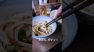 今年160玉完食土曜日の楽しみ、大喜多天ぷらうどん二玉、醤油うどん冷たいの、900円也今週ずっと弁当なので余計に沁みる久しぶりの天ぷらの香ばしさに箸がすすむ旨し！！#くさおのうどん日本新記録2025