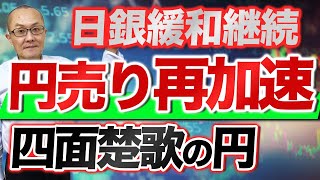 【2023年6月17日】日銀緩和継続  円売り再加速  四面楚歌の円　昨年加速した円売りですが悪い円売りと評されたのは国富の流失だったから　1年前と比較して問題点を洗い出します