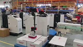 Cobots for collaborative and flexible automated palletizing solutions in material handling