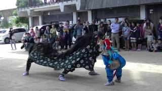 Ｈ２７年、牛深八幡宮、秋祭り獅子舞い