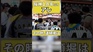 阪神タイガース18年ぶりの「アレ」阪神18年ぶりセ・リーグ優勝、祝うファンらであふれる道頓堀