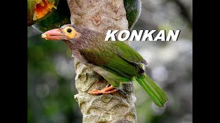 Beautiful Konkan   (Part - 1)