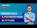 Types of Inheritance & Polymorphism in Python | Python Training | Edureka | Python Live - 4