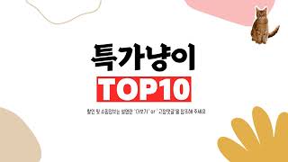 역대급 할인율!! 2024년 알리익스프레스 인기 어닝 TOP10