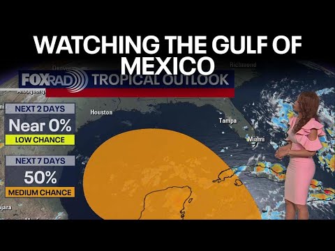 How does the Gulf of Mexico help the US?