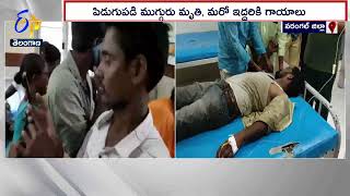 Four People Died by Lightning | ఉమ్మడి వరంగల్ జిల్లాలో పిడుగులు పడి నలుగురు మృతి