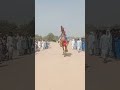 Camel Racing traditional Pakistan #viral #horse #camel #sindhpakistan #religion #camelrace