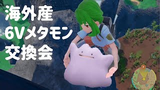 【ポケモンSV】海外産6Vメタモン交換会【配布枠】