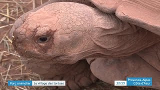 Le village des tortues de Carnoules (83) en plein confinement