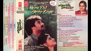 Mera Dil Tere Liye  - Mera Dil Tere Liye 1991 (By Chayon Shaah Audio Series)