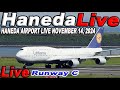 🔵 Live 羽田空港ライブ Haneda Airport Live November 14, 2024 生中継 2024年11月14日 羽田空港ライブカメラ