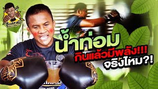 Kratom juice boosts energy! Really? Let's see!!!! (Eng Sub) EP.22 | Buakaw Banchamek