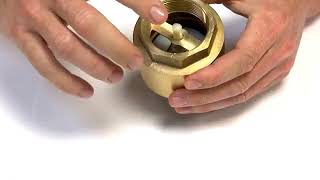 One Way Valve Spring Valve Check Valve Non Return Valve Brass Valve Spring Injap Spring Check