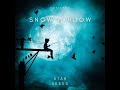 snow window