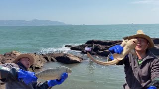 Dry 150 square meters of water pits with 2 pumping machines, and harvested eel, grouper, and snails