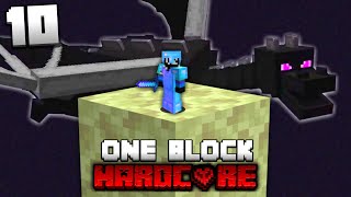 I Beat Minecraft Skyblock but You Only Get One Block (#10)