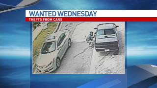 Wanted Wednesday: June 3, 2015
