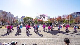 [4K] 皇學館大学よさこい部\