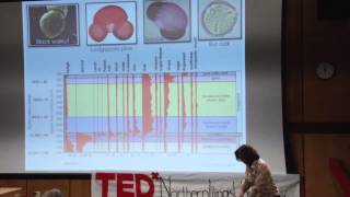 If a tree could talk | Lesley Rigg | TEDxNorthernIllinoisUniversity