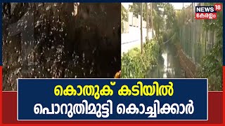 കോർപ്പറേഷന്റെ കൊതുക് നശീകരണം കാര്യക്ഷമമല്ലെന്ന് പരാതി; കൊതുക് കടിയിൽ പൊറുതിമുട്ടി കൊച്ചിക്കാർ