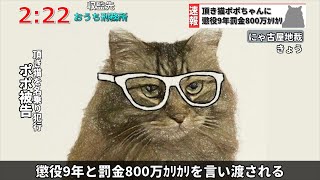 【速報】頂き猫ポポちゃんに懲役9年罰金800万の判決　過呼吸になりその場で横に…